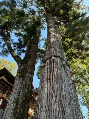三峯神社の{uncategorized: "未分類", other: "その他", undefined: "問題あり", building: "その他建物", grave: "お墓", sacred_gate: "鳥居", guardian: "狛犬", statue: "像", buddha: "仏像", history: "歴史", nature: "自然", garden: "庭園", animal: "動物", pagoda: "塔", temizu: "手水舎", mountain_gate: "山門・神門", sanctuary: "本殿・本堂", subordinate: "末社・摂社", art: "芸術", scenery: "景色", jizo: "地蔵", ema: "絵馬", goshuin: "御朱印", omikuji: "おみくじ", items: "授与品その他", amulet: "お守り", goshuincho: "御朱印帳", eats: "食事", festival: "お祭り", votive_dance: "神楽", shichigosan: "七五三参", wedding: "結婚式", experience: "体験その他", initially: "初詣", around: "周辺", anti_infection: "感染症対策"}