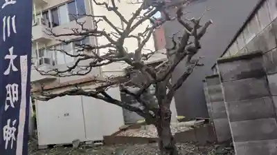 法雲寺(京都府)