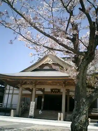 光明寺の本殿・本堂