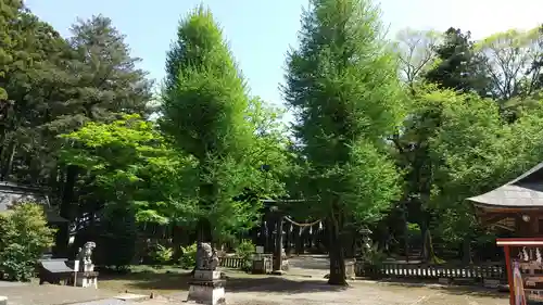 大神神社(栃木県)