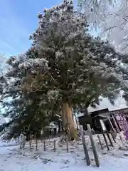 糠部神社(青森県)