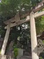 雉子神社(東京都)