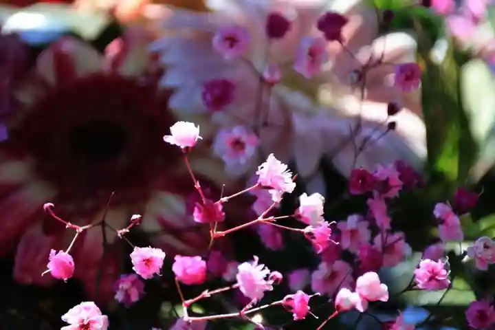 豊景神社の手水舎