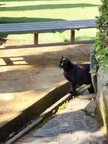 王子神社の動物