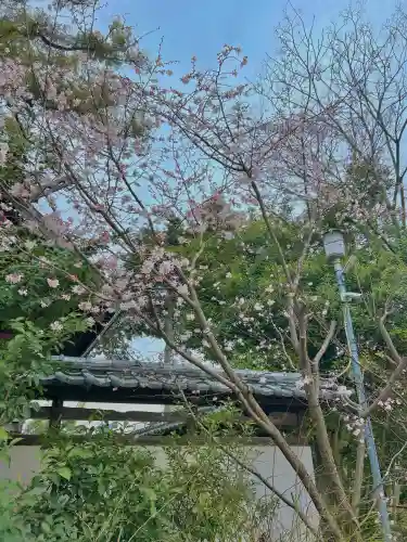 伊奴神社の{uncategorized: "未分類", other: "その他", undefined: "問題あり", building: "その他建物", grave: "お墓", sacred_gate: "鳥居", guardian: "狛犬", statue: "像", buddha: "仏像", history: "歴史", nature: "自然", garden: "庭園", animal: "動物", pagoda: "塔", temizu: "手水舎", mountain_gate: "山門・神門", sanctuary: "本殿・本堂", subordinate: "末社・摂社", art: "芸術", scenery: "景色", jizo: "地蔵", ema: "絵馬", goshuin: "御朱印", omikuji: "おみくじ", items: "授与品その他", amulet: "お守り", goshuincho: "御朱印帳", eats: "食事", festival: "お祭り", votive_dance: "神楽", shichigosan: "七五三参", wedding: "結婚式", experience: "体験その他", initially: "初詣", around: "周辺", anti_infection: "感染症対策"}
