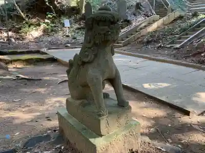 浅間神社の狛犬