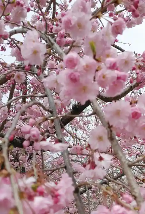 豊國神社(大阪府)