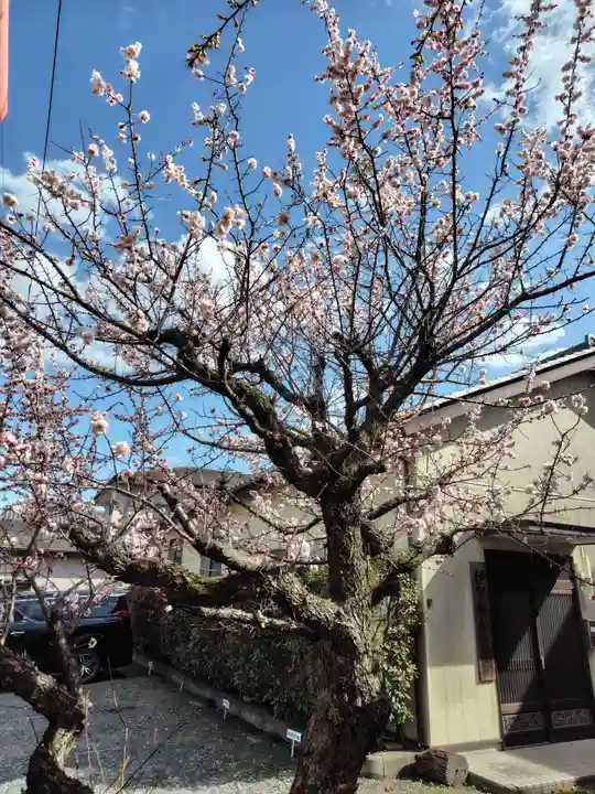 孫太郎神社(栃木県)