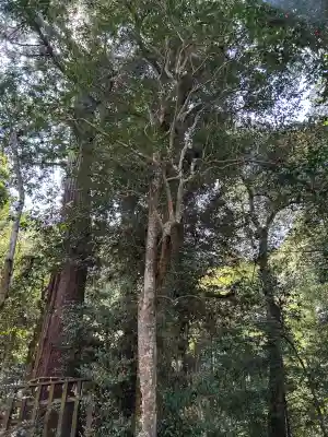 八重垣神社(島根県)