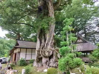 天引八幡神社(京都府)