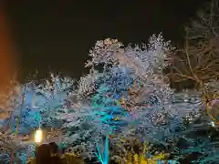 龍城神社の自然