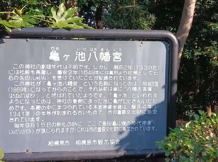 亀ケ池八幡宮(神奈川県)