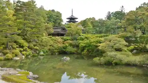 仁和寺の庭園