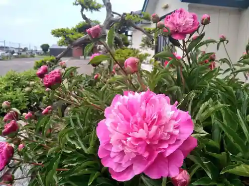 雨竜　専福寺の庭園