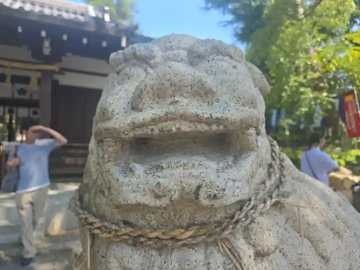 安居神社の狛犬
