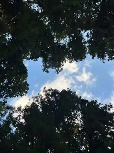 大宮温泉神社の自然