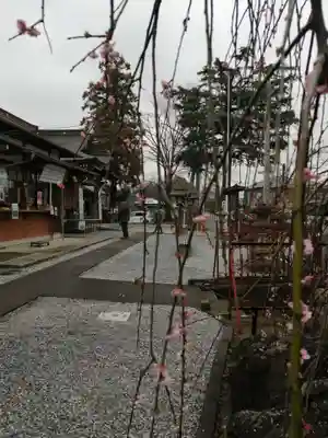 武蔵第六天神社のその他建物
