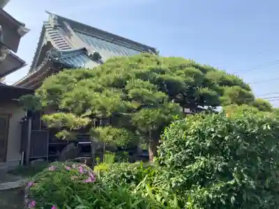 九品寺(神奈川県)