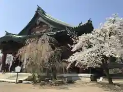 大光院 新田寺の本殿