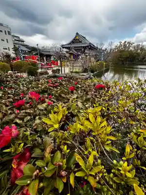 神泉苑(京都府)
