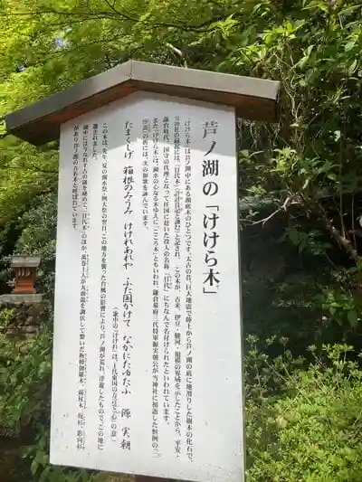 箱根神社の建物その他