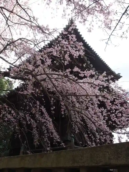 瑜伽山蓮台寺の自然