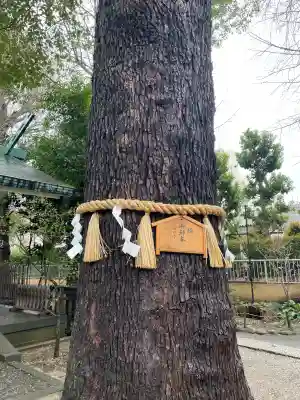 駒込天祖神社(東京都)