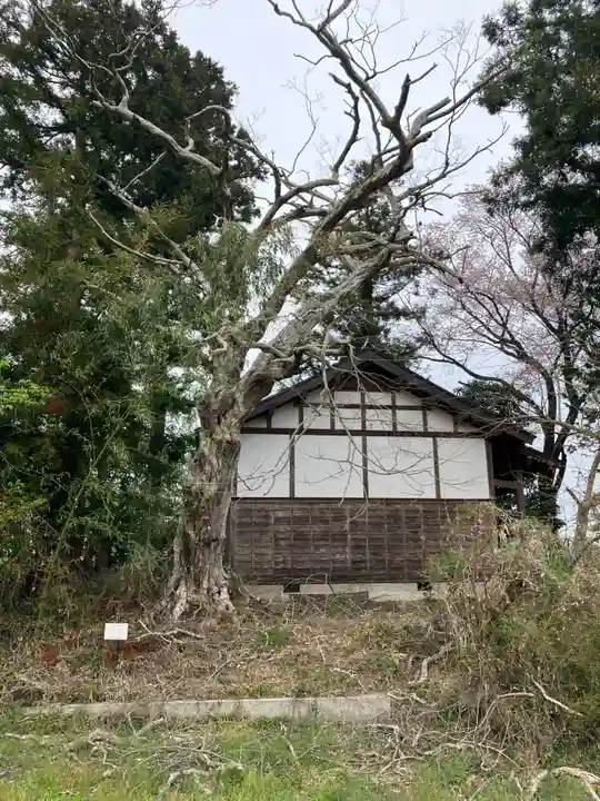 摩多羅神社の自然