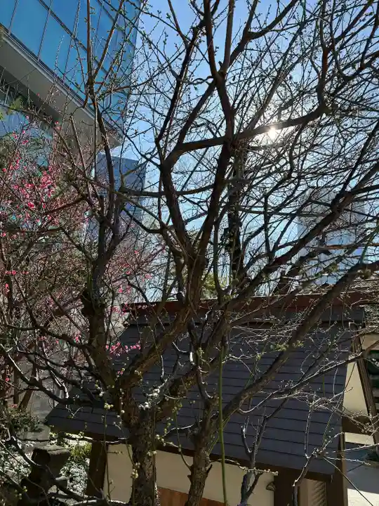 六本木天祖神社(東京都)