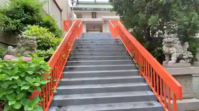 安海熊野社の狛犬