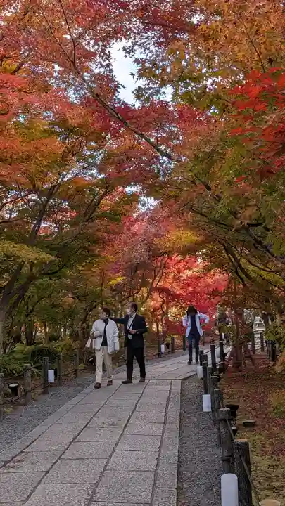 禅林寺(永観堂)(京都府)