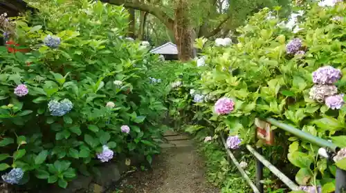 藤森神社の庭園