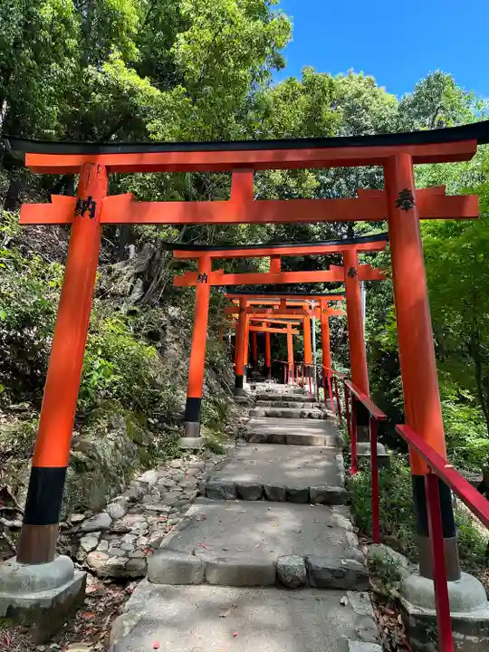 賀茂別雷神社(上賀茂神社)(京都府)