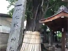 氷川神社の建物その他