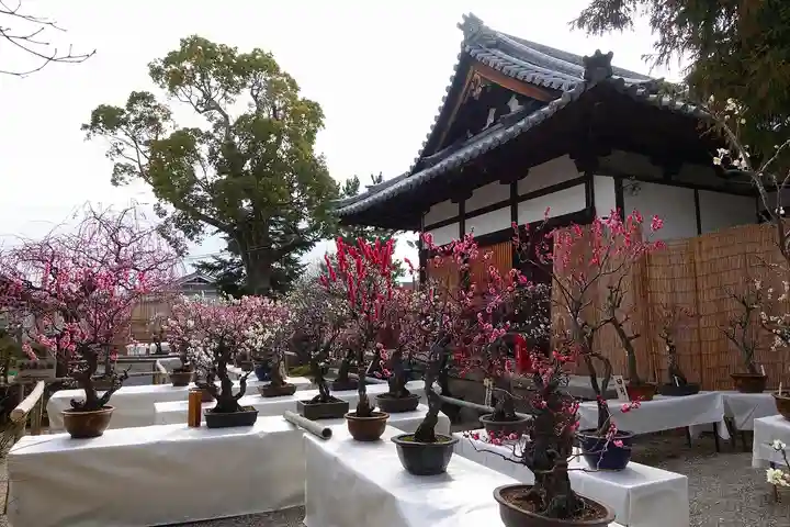 菅原天満宮(菅原神社)のその他建物