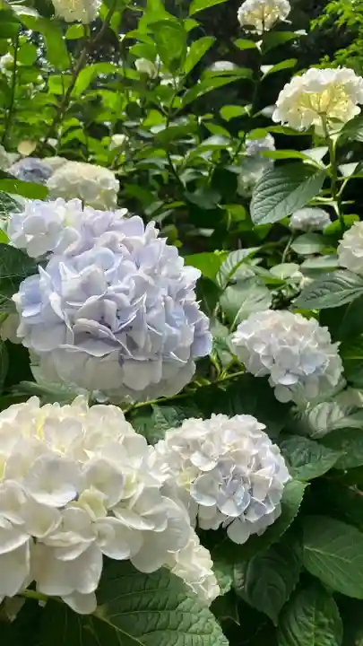 吉備津神社(岡山県)
