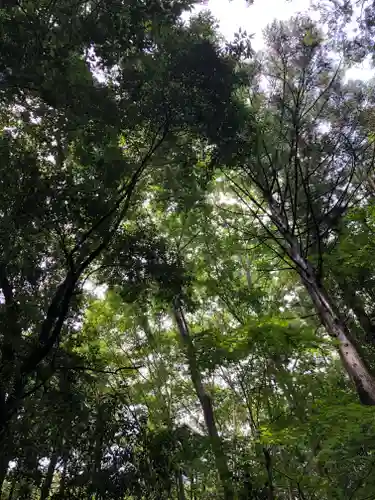 秩父神社の自然