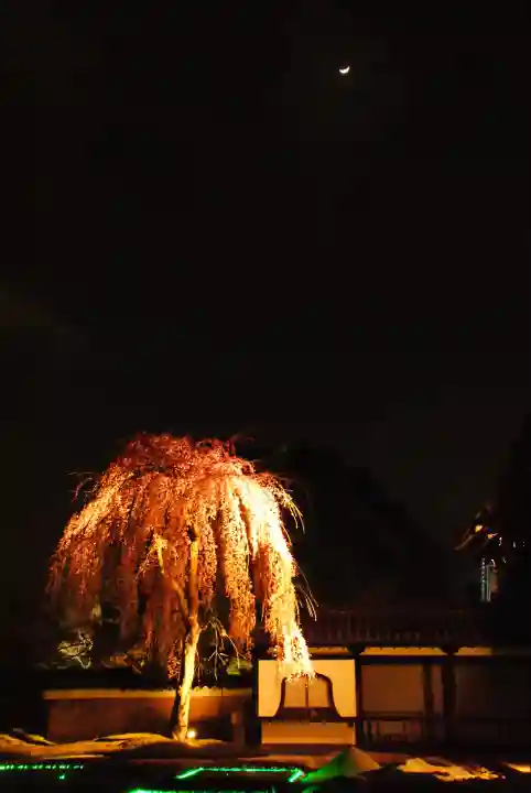 大雲院(京都府)
