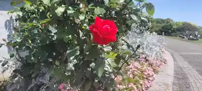 本牧神社(神奈川県)