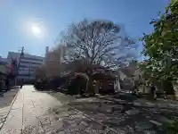 高徳寺(東京都)