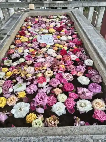 瀬田玉川神社の手水