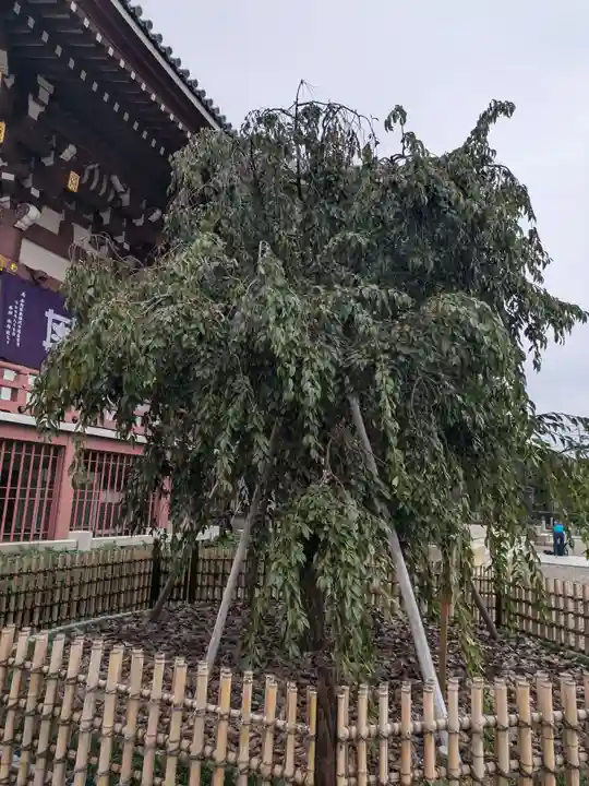 池上本門寺(東京都)