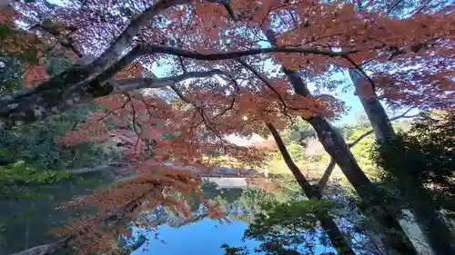 浄瑠璃寺(京都府)