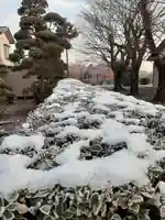 伏木香取神社の自然