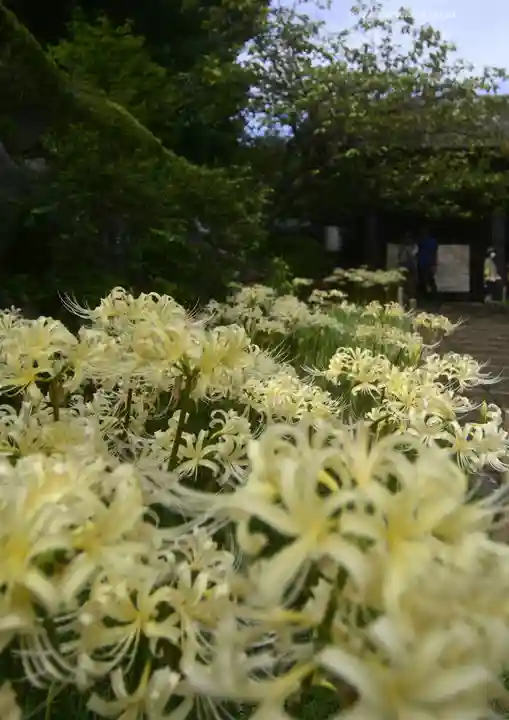 横浜 西方寺(神奈川県)