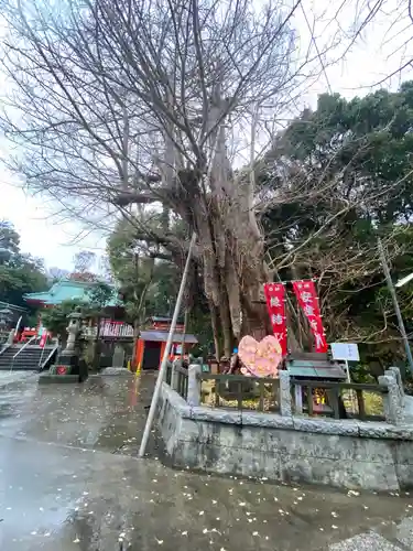 海南神社の自然