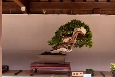 彌彦神社の自然