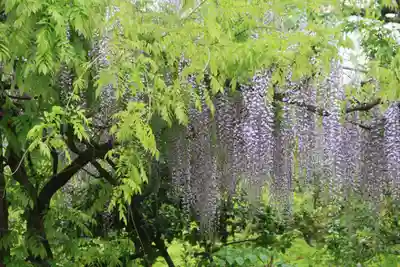 古峯神社の庭園