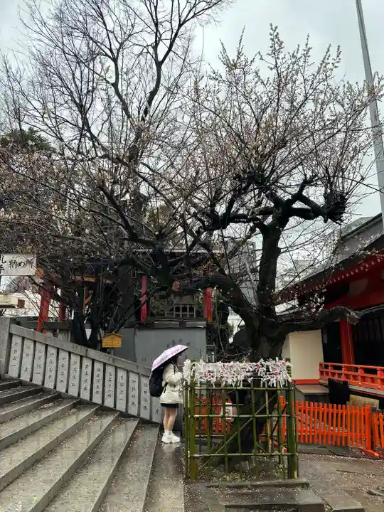 花園神社の自然