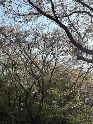 東蕗田天満社(茨城県)